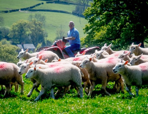 Tesco is actively looking for more farmers to join the scheme, with next year’s contracts starting on the 1 April