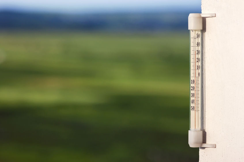 The Farmers’ Union of Wales has called the current weather situation for farmers "dire"