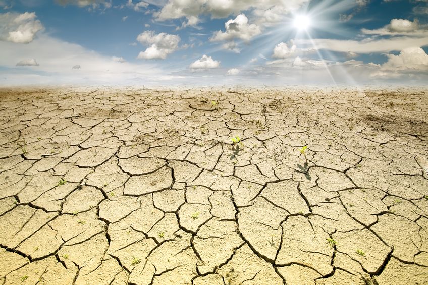 The lack of rain and above-average temperatures have affected the farming industry