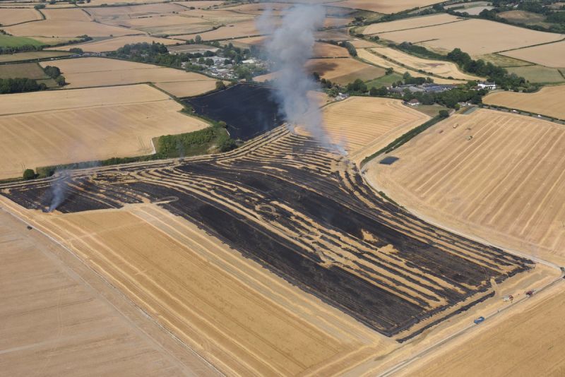 The farmer thinks the fire was caused by "hot machinery, a flint and an accidental spark" (Photo: @NPASRedhill/Twitter)