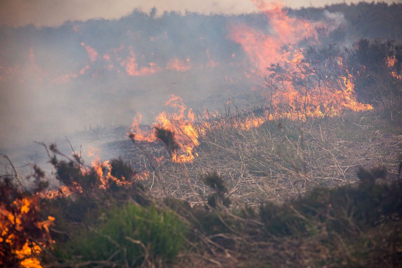 "The fire was completely devastating. You look out over the moor now and it’s just a black desert"