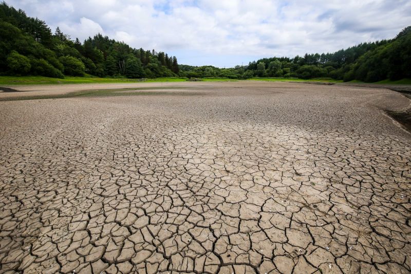 "It will be at least four or five years before this moor comes back to life. It’s all about what is gone"