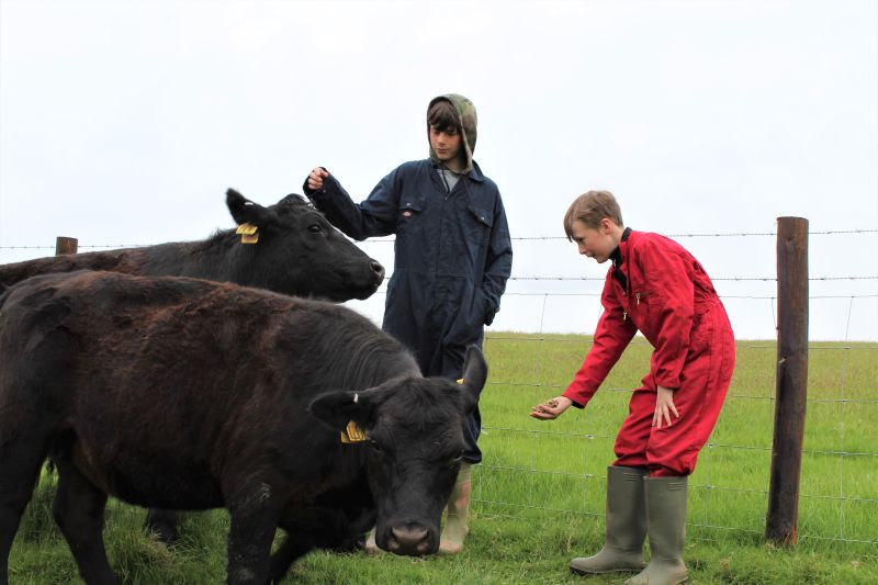 A charity which helps disadvantaged children by providing a week-long farming experience has received ten cattle as part of a donation