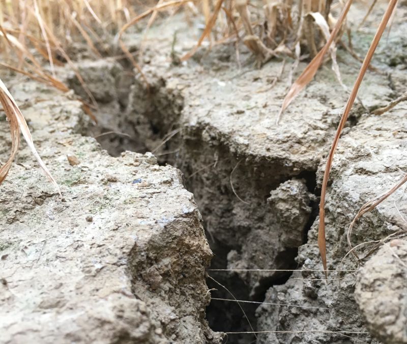 The challenge for UK farmers is knowing what weather is likely to occur in a season and it changes year by year