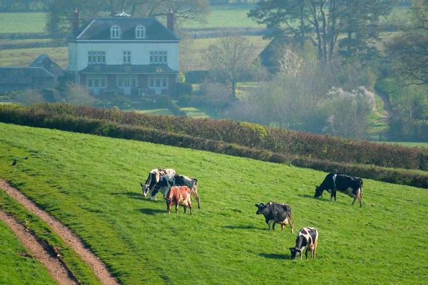 Agriculture is responsible for 88% of UK emissions of ammonia gas