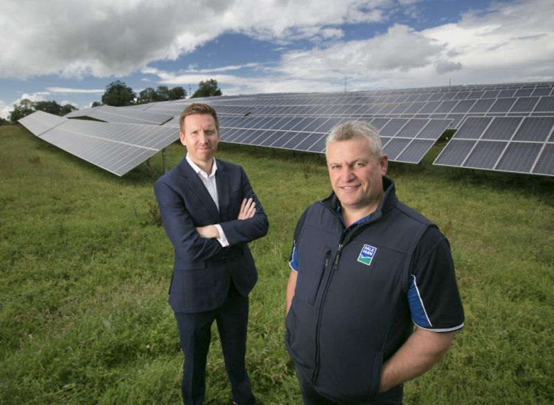 The 37-acre solar farm is now powering Dale Farm’s cheddar cheese plant