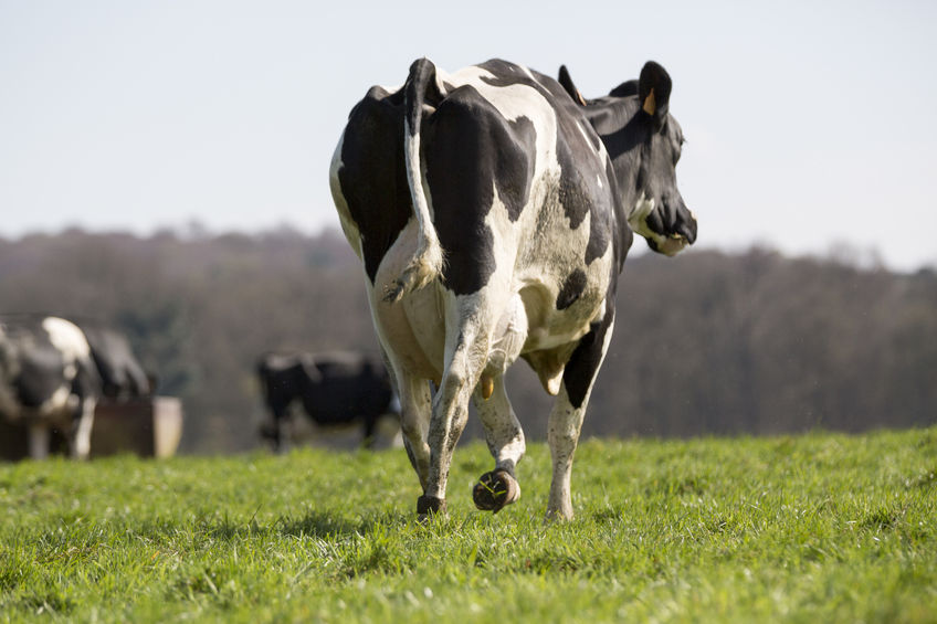 The NFU is concerned that a permitting system, as outlined in Defra's consultation, could cost thousands of pounds and 'severely hamper' the dairy industry