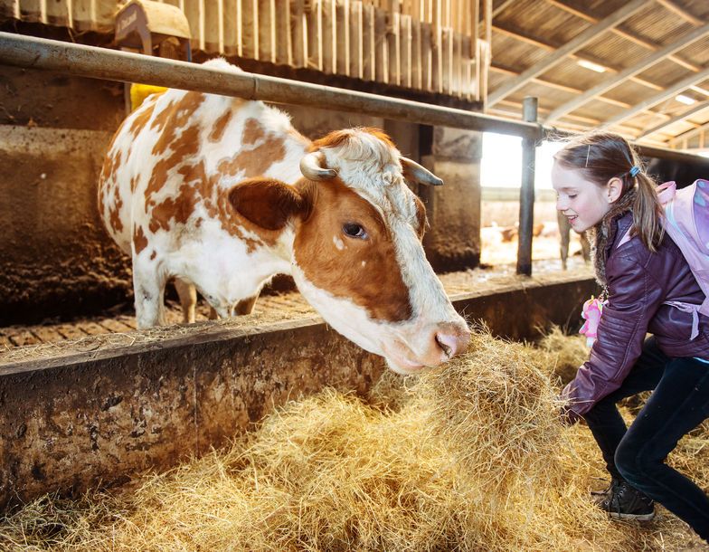 Something as simple as visiting a farm can have a massive impact on mental health wellbeing