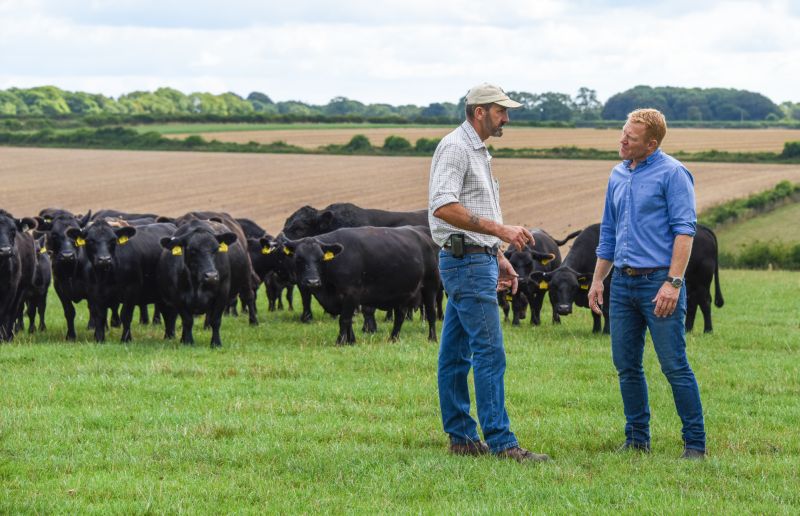 Wessex Lowlines farm manager David Maughan (left) tells Adam Henson the breed is ideal for farmers and smallholders