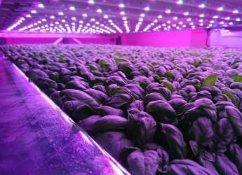 Scotland's first vertical indoor farm has been unveiled at Hutton Dundee site