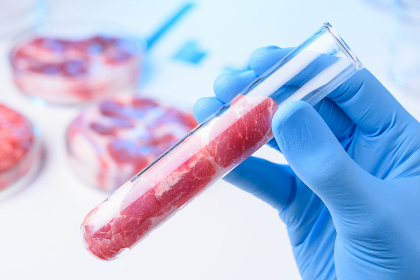 The new report from the Adam Smith Institute suggests lab grown meat could "transform the world"
