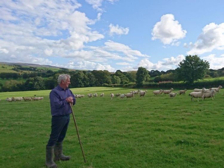 FUW President, Glyn Roberts said the technical notes highlight the "mammoth task" at hand
