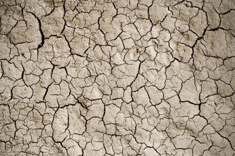 The NFU said the government has failed to act on promises made at an emergency meeting in early August