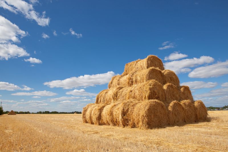 Under-insurance warning has been issued to farmers after hot summer pushes up crop values