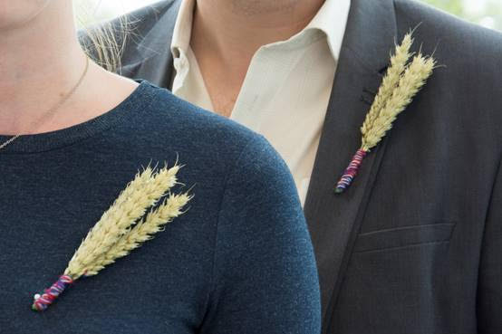 Politicians will be wearing the wheat-pin badge to show support for British food and farming