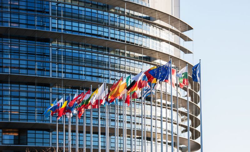 The West Midlands farmer, who is Britain's biggest asparagus producer, addressed the European Parliament