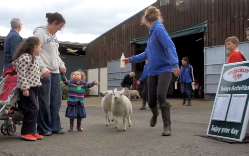 Stockley Farm, based in Cheshire, has suffered in recent times as a result of reducing profit margin