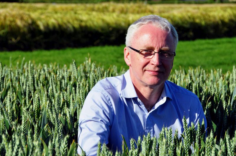 Andrew Newby, KWS UK managing director