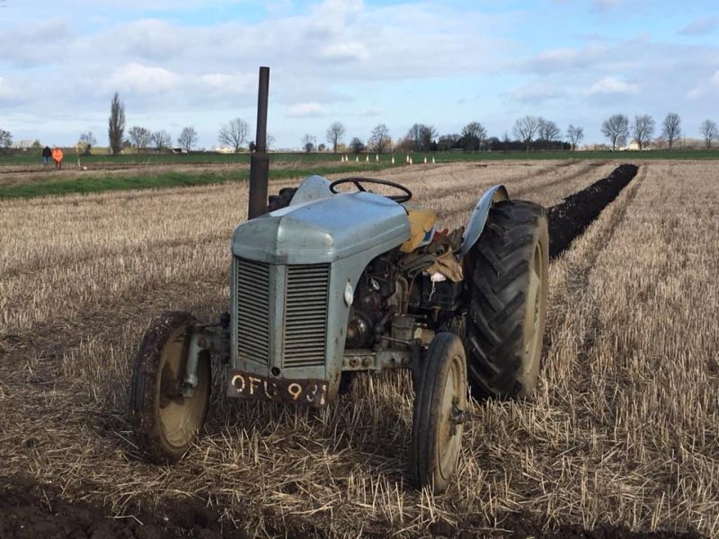 The stolen 1956 Ferguson TEF tractor (Photo: John Fisher/Facebook)