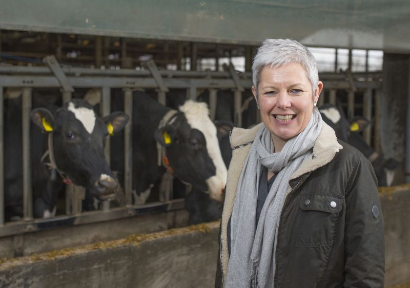 Catherine Dixon, CEO, Askham Bryan College with dairy cattle at the college's Westfield Farm