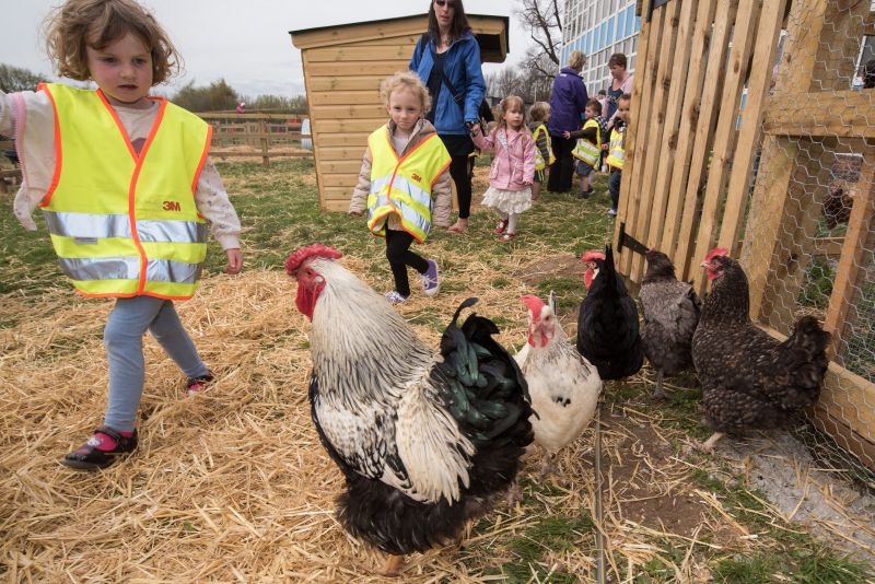 Twinning primary schools with farms long-term will promote 'ownership and responsibility', according to the manifesto