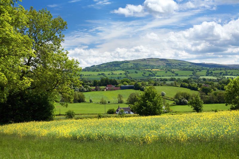 The value of agricultural land has seen a "robust performance" given that the sector could be one of the most potentially affected most by Brexit