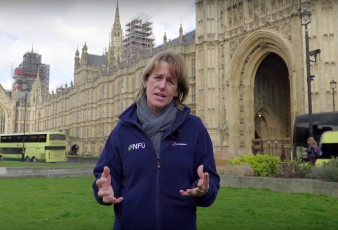 NFU President Minette Batters said the notices confirm in "black and white" that a no deal scenario would be "catastrophic" for British agriculture
