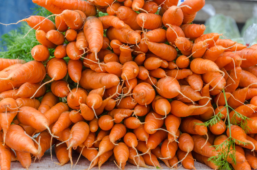 Farmers are already utilising as much produce as possible, for example ‘wonky veg’ ranges in supermarkets