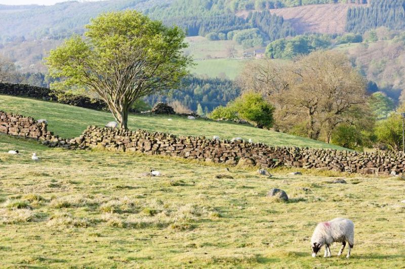 Before construction of the Woodsmith Mine begun, "peaceful agricultural land" had been transformed into a "large industrial complex", the open letter states