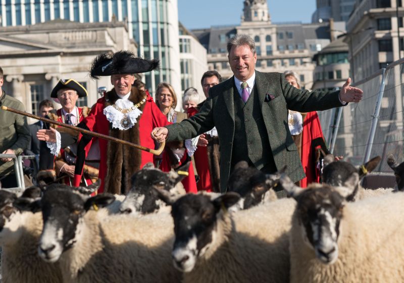 A flock of 30 sheep from Bedfordshire were brought into central London for the day (Photo: Nick Harvey/Shutterstock)