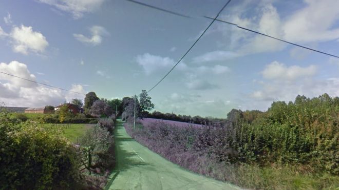 The incident happened at a "remote location" on a Dorset farm (Photo: Google Maps)