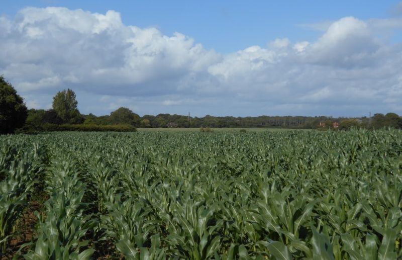 The 7.5 hectare site will include three new smallholdings of mixed farms