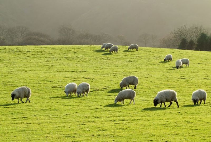 Farmers have been urged to highlight the importance of food production in the consultation