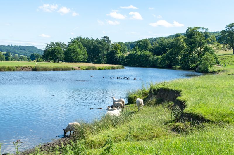 A new report states that water companies' spending should align with new farm subsidies to clean up waterways