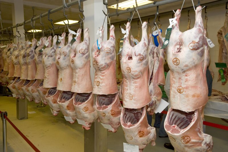 Despite numerous councils supplying non-stunned meat, the majority of Muslims are "content" with pre-stunned meat, according to the National Secular Society