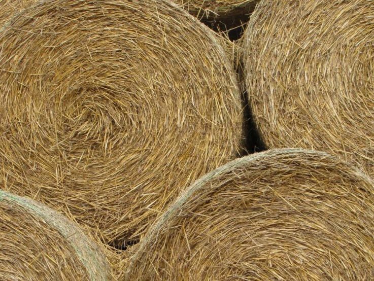 With the hot and dry weather conditions, availability of bedding has been a question mark for many
