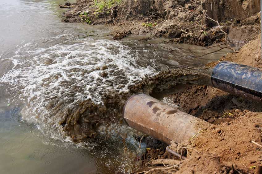 A farmer has been fined for causing water pollution near Helen’s Bay (Stock photo)