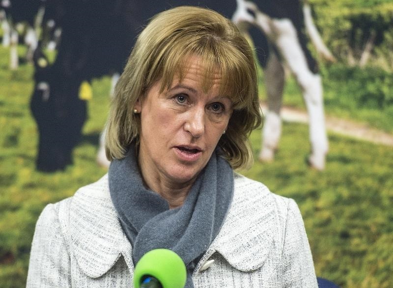 NFU President, Minette Batters said the UK and the EU's shared best interests lie in the "successful conclusion" of a Brexit agreement