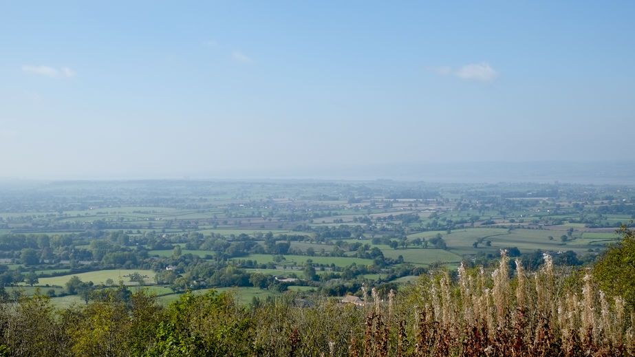 Farmers who wish to apply must be situated within a Severn Trent target area, and must farm a minimum of 3 hectares