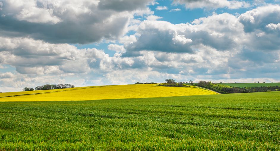 Farmland has proved a safe and secure investment over the long term