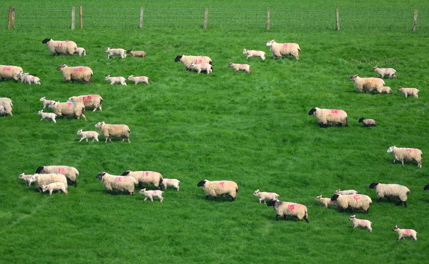 NFU Scotland has said the UK Government must prioritise trade with the EU rather than Australia, New Zealand and the United States