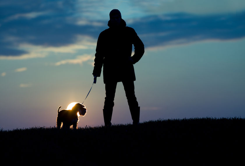 The farmer called the attack on his sheep "horrific and distressing"