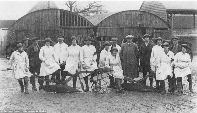 The majority of women who worked in agriculture during WWI were milkers and field workers, but some were carters and plough women