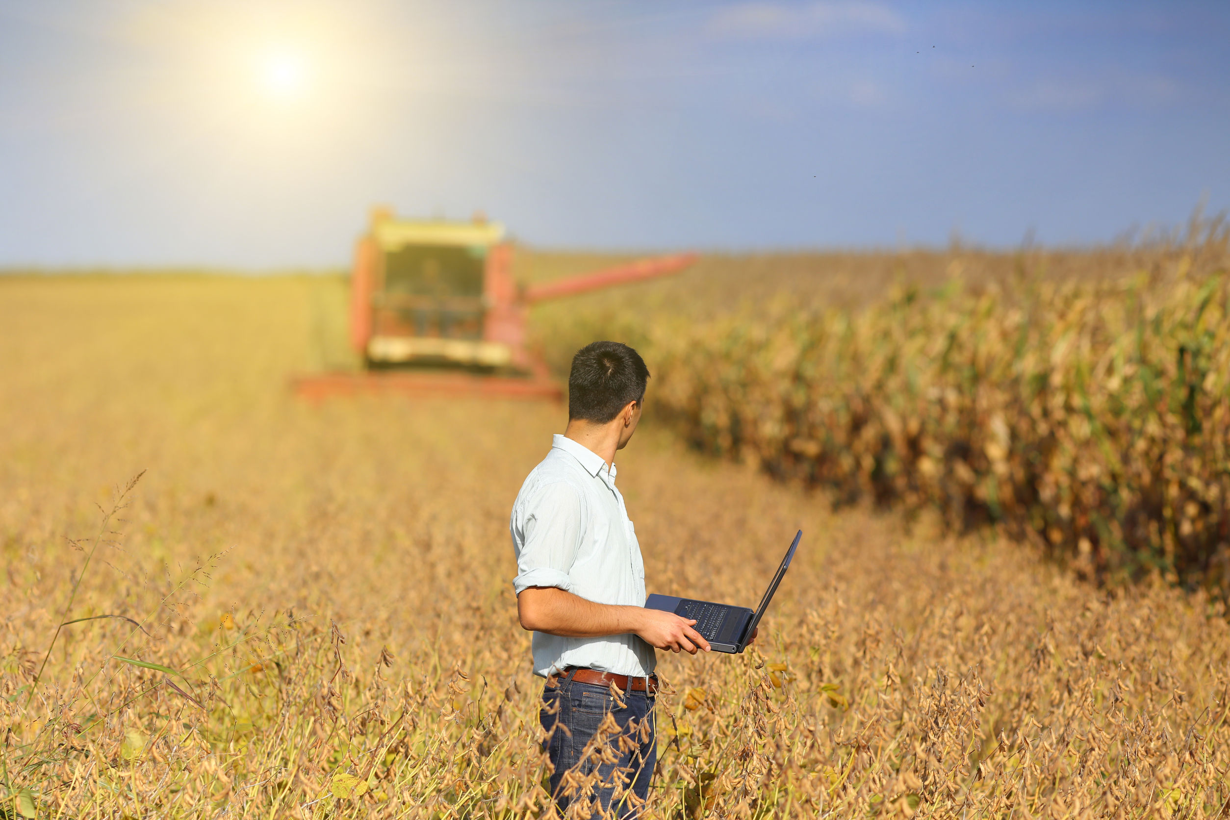 A better value for money has been demanded for AHDB levy payers