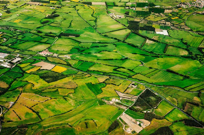 The Committee says past policies governing the use of UK land have been "fragmented and incomplete"