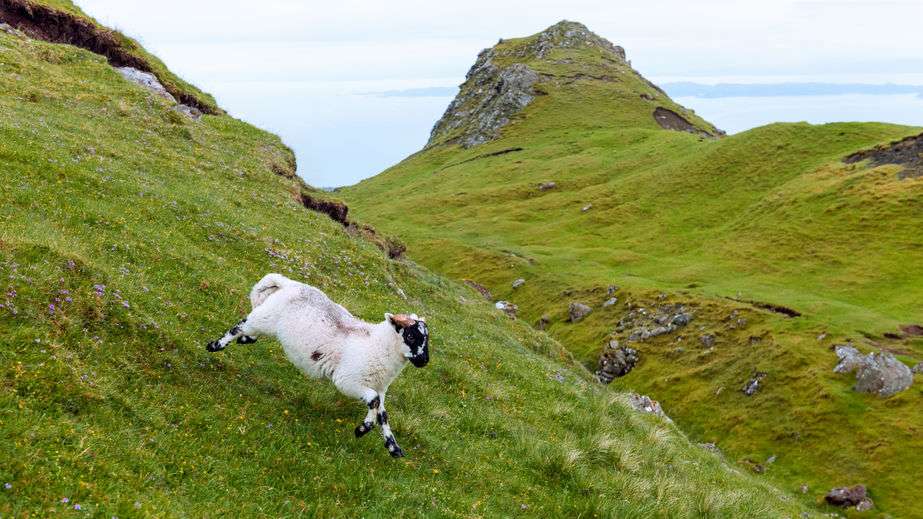 The report reveals what makes top performers in the farming industry stand out above the rest