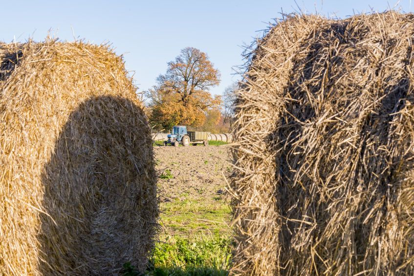 MPs are seeking to change the Agriculture Bill to ensure co-operatives play a larger role in UK farming post-Brexit