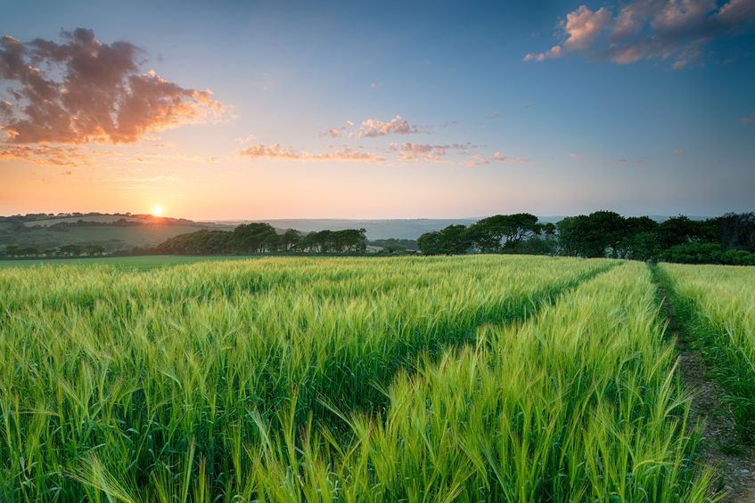 Potential farms wanting to sign up to the initiative will provide growers with a platform to explore the potential for new research