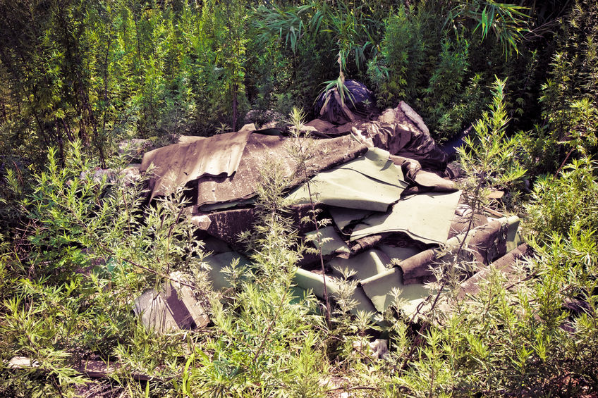 Farmers have backed a recommendation for the introduction of a new unit to tackle the most serious cases of waste crime