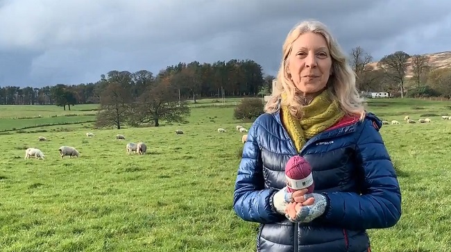 The wool was sourced from the Scotch Mule sheep flock at the university’s farm (Photo: Professor Abrams at Cochno Farm/UoG)